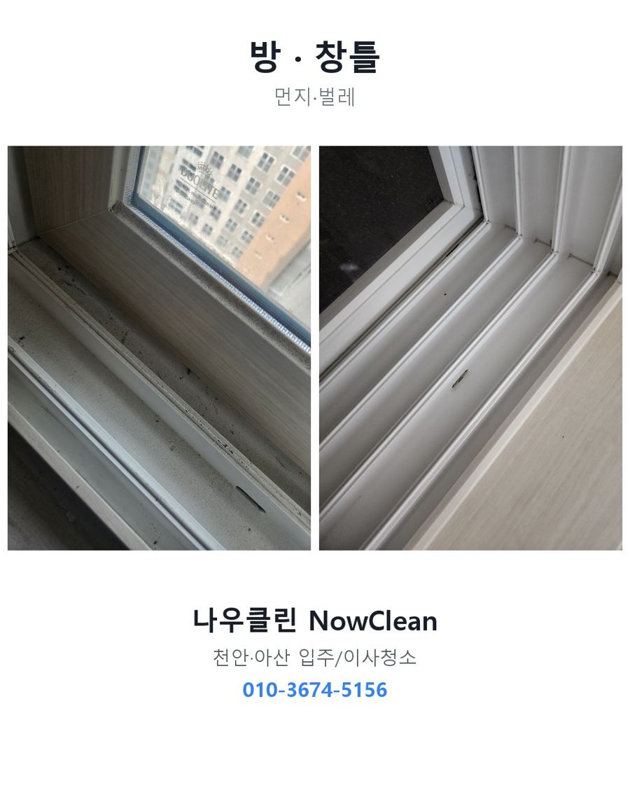 전후 사진