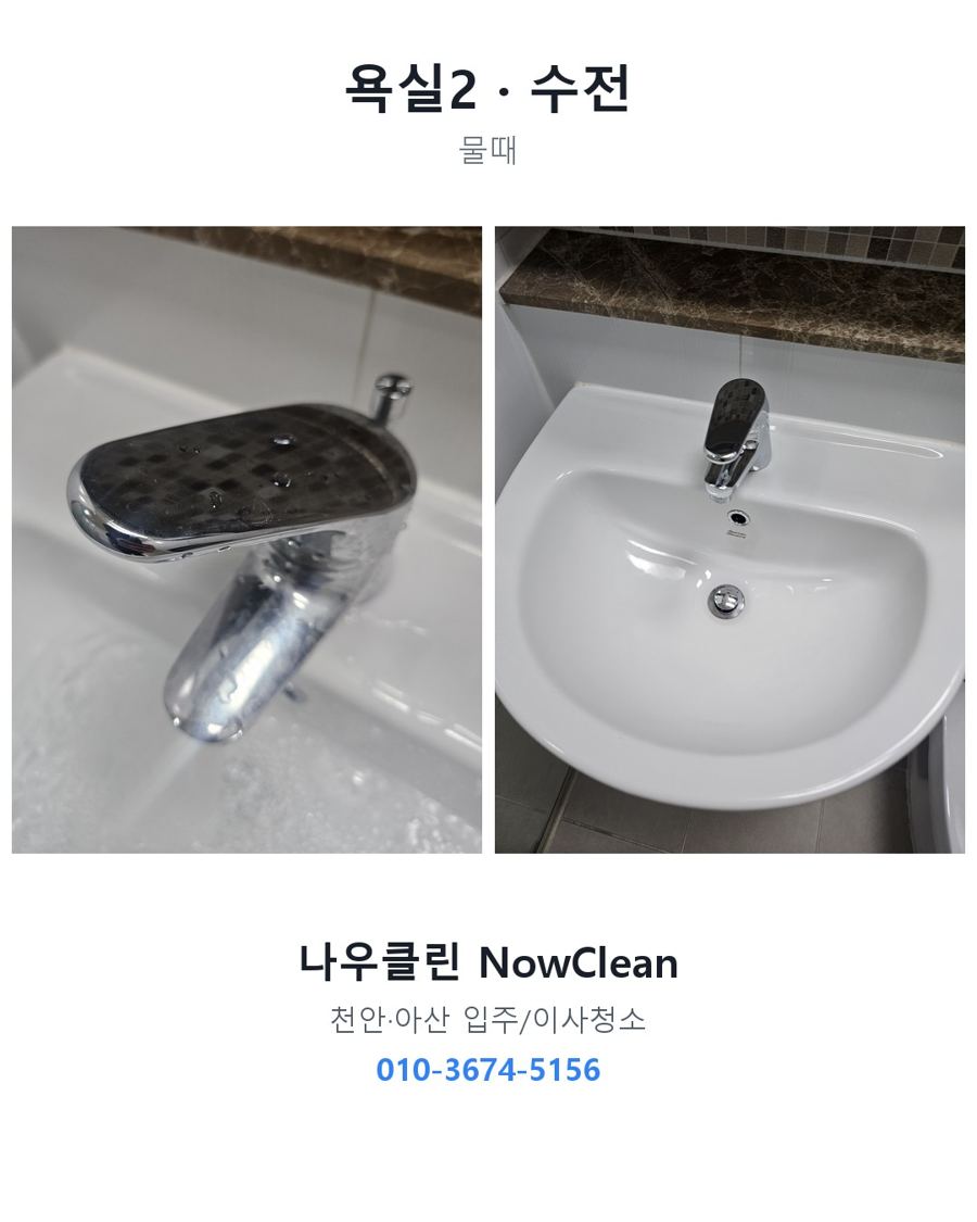 전후 사진