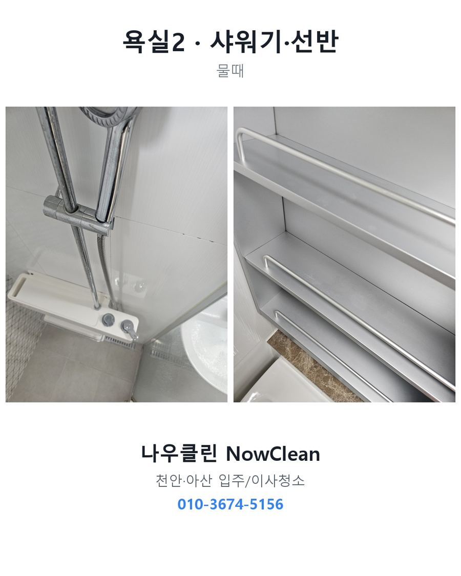 전후 사진