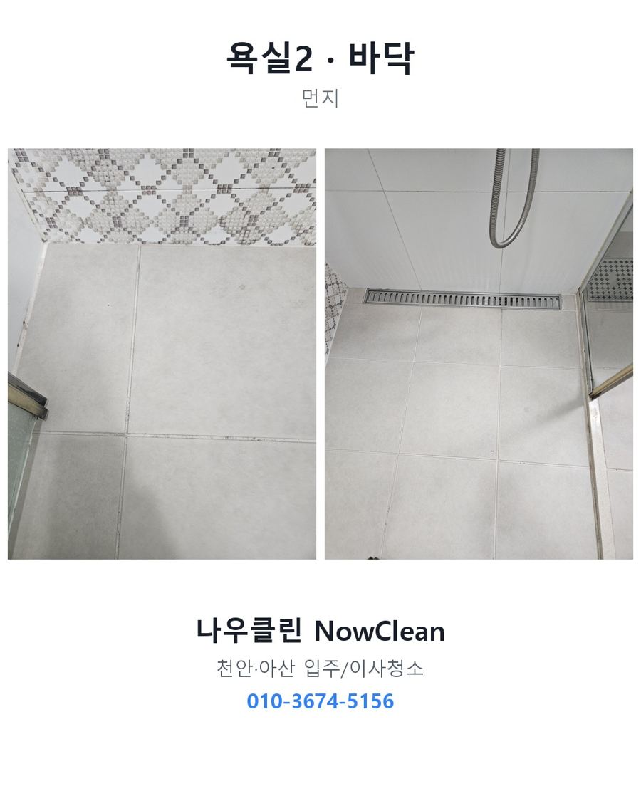 전후 사진