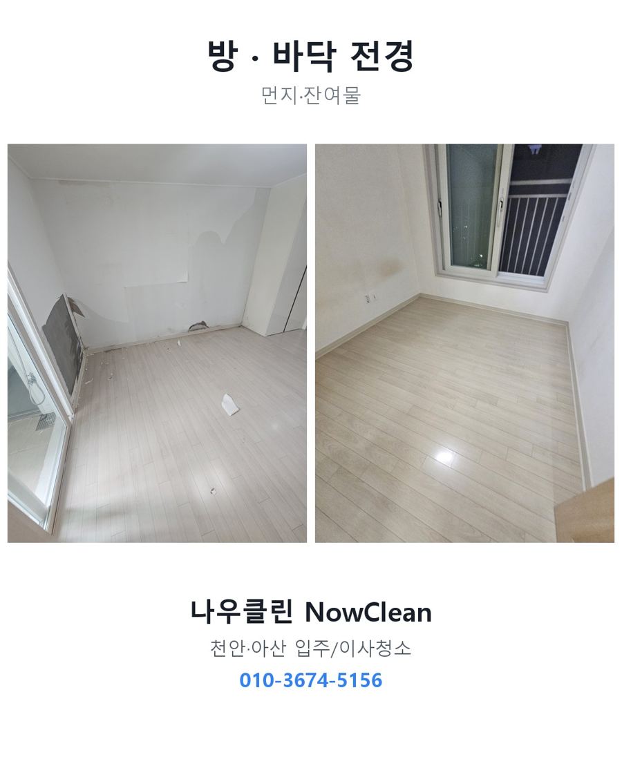 전후 사진
