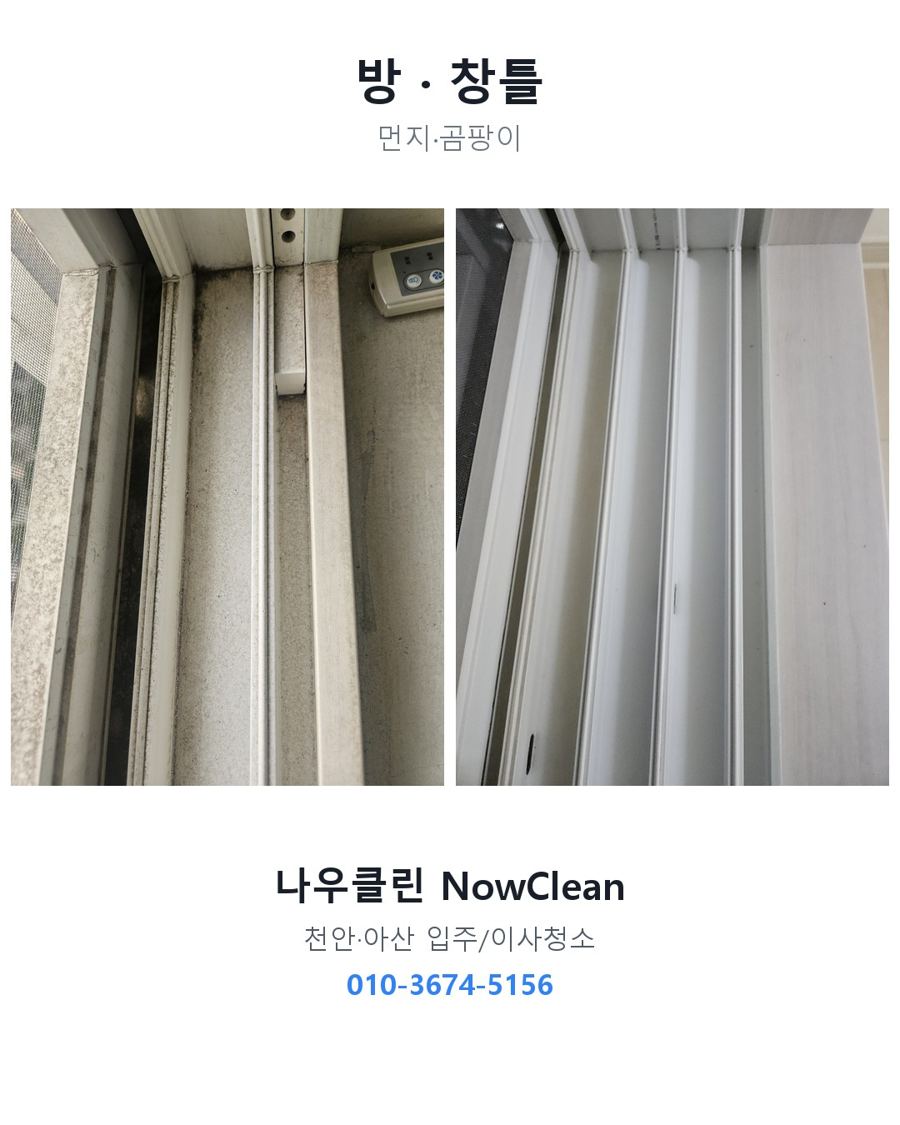 전후 사진