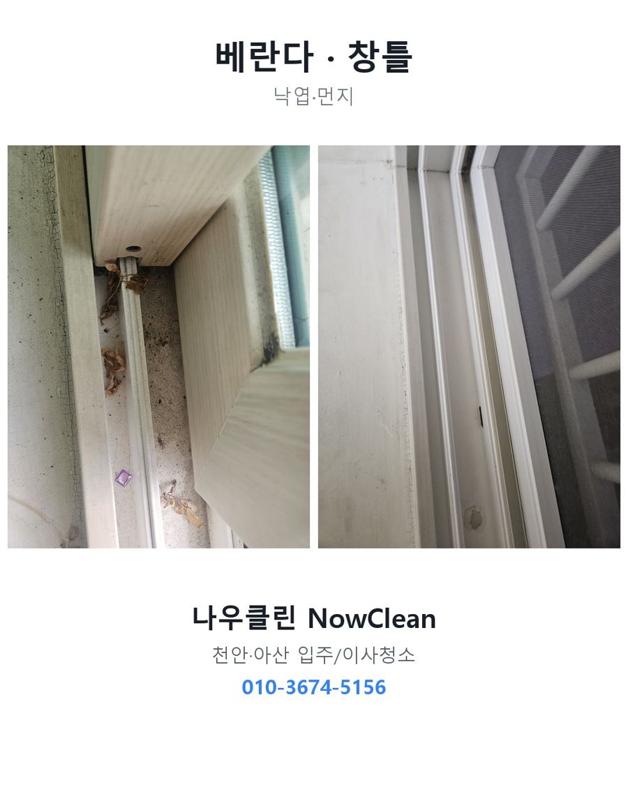 전후 사진
