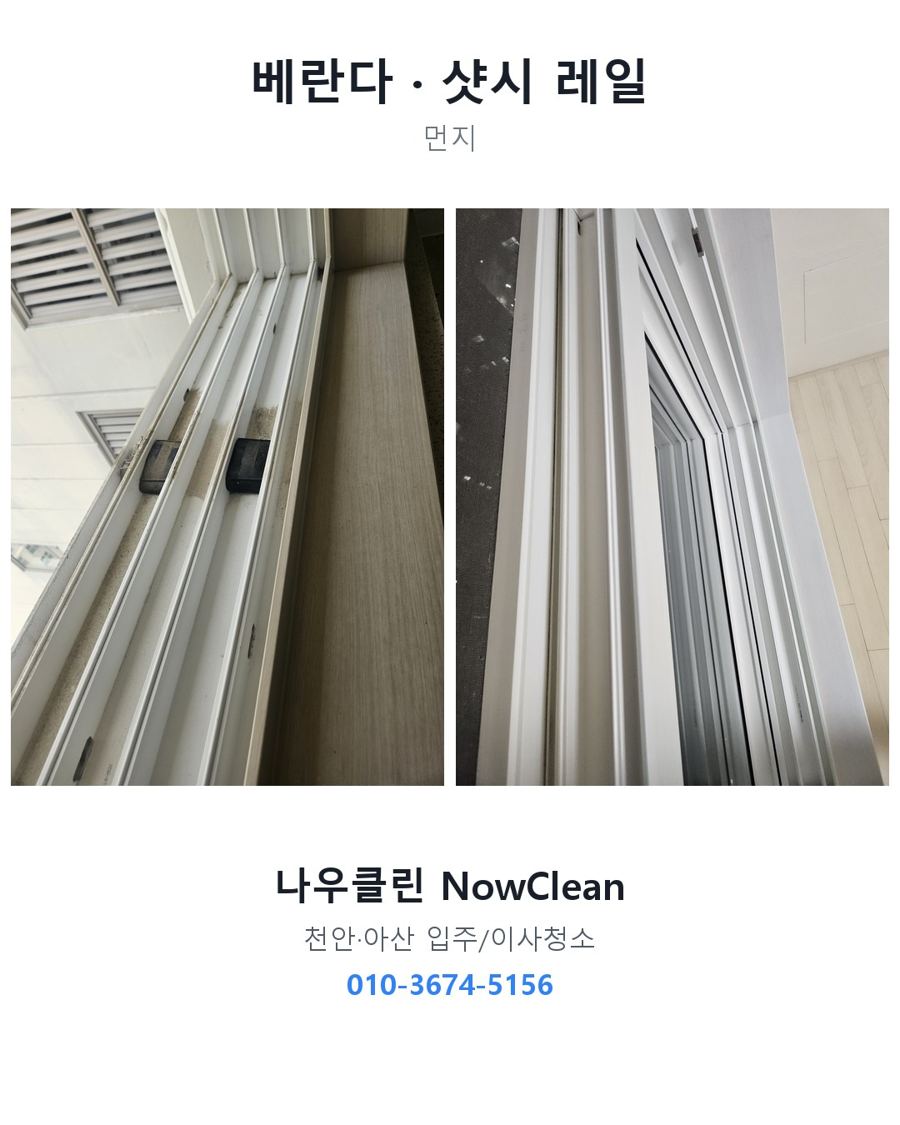 전후 사진