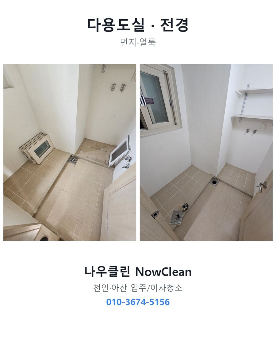 전후 사진