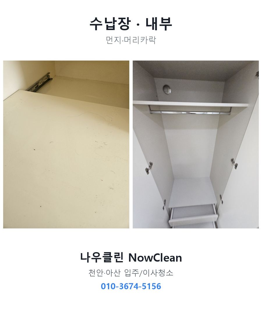 전후 사진