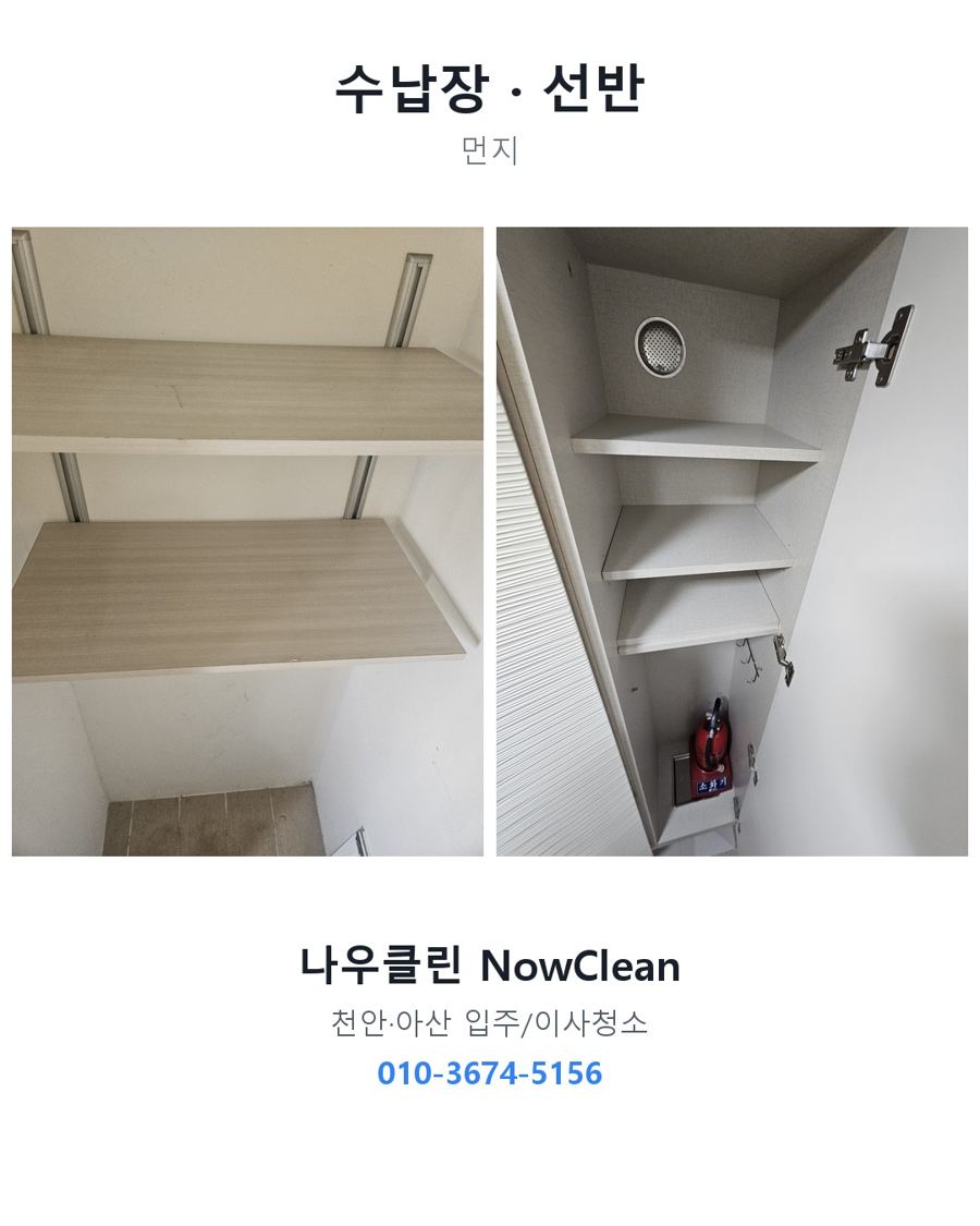 전후 사진
