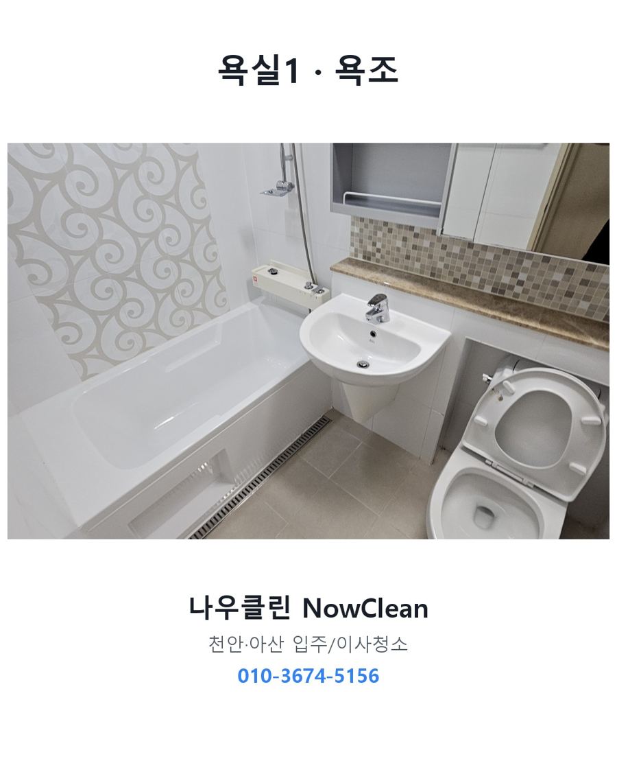 전후 사진