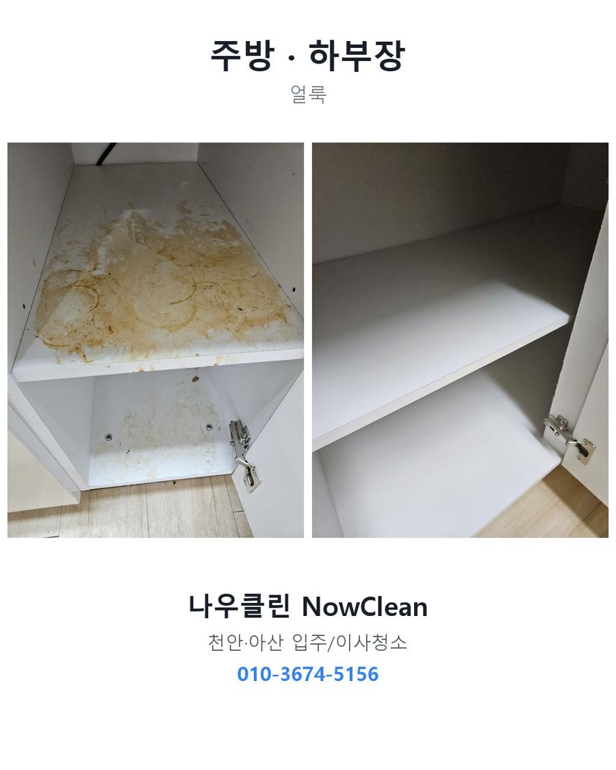 전후 사진