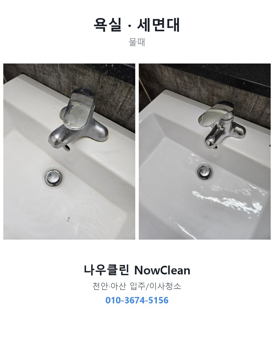 전후 사진
