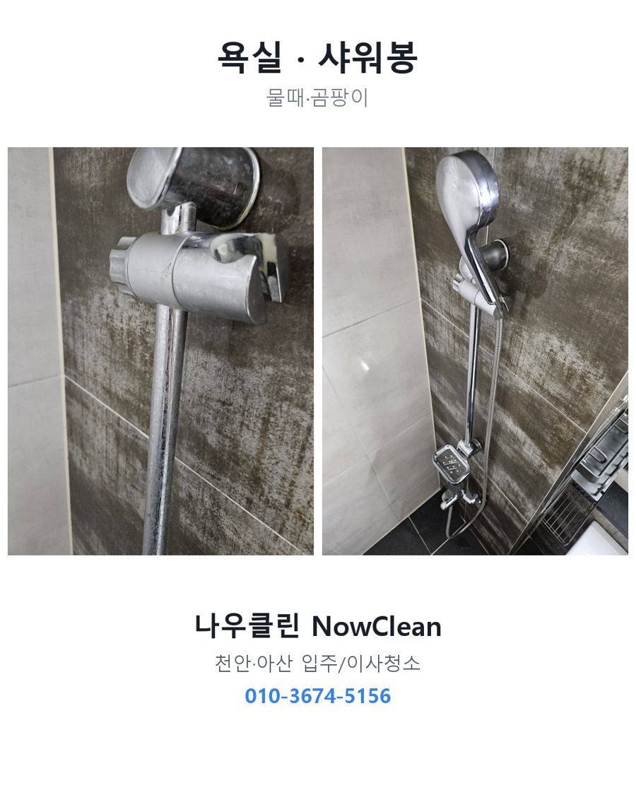 전후 사진