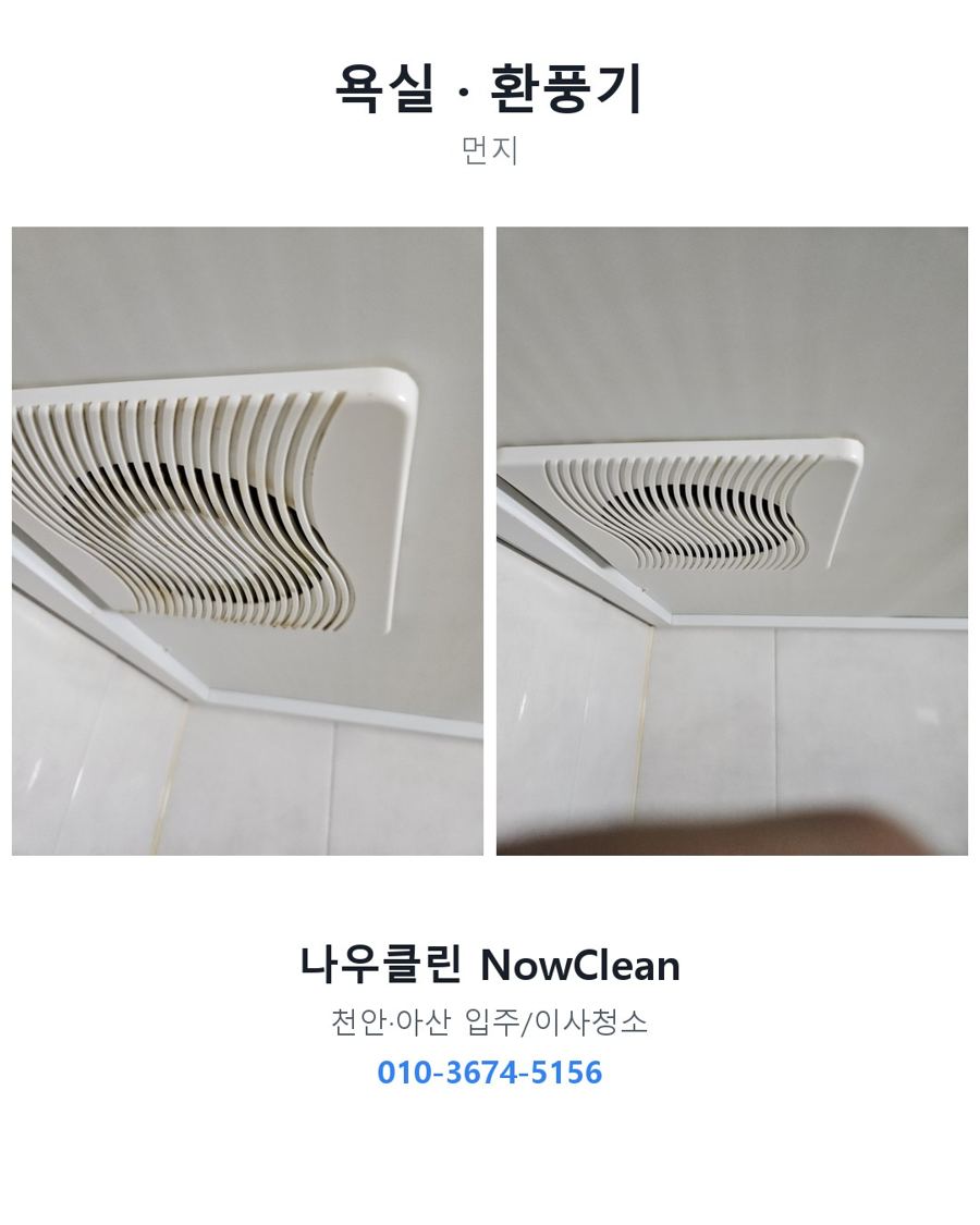 전후 사진