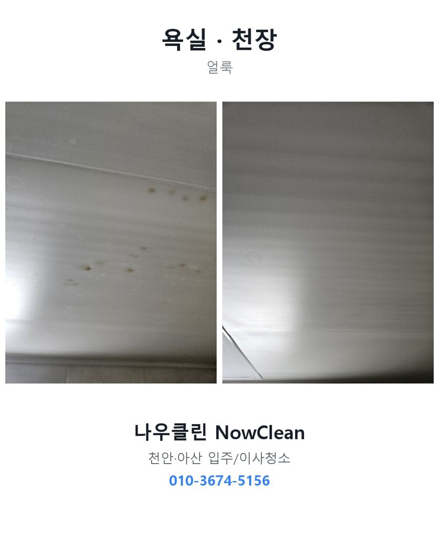 전후 사진
