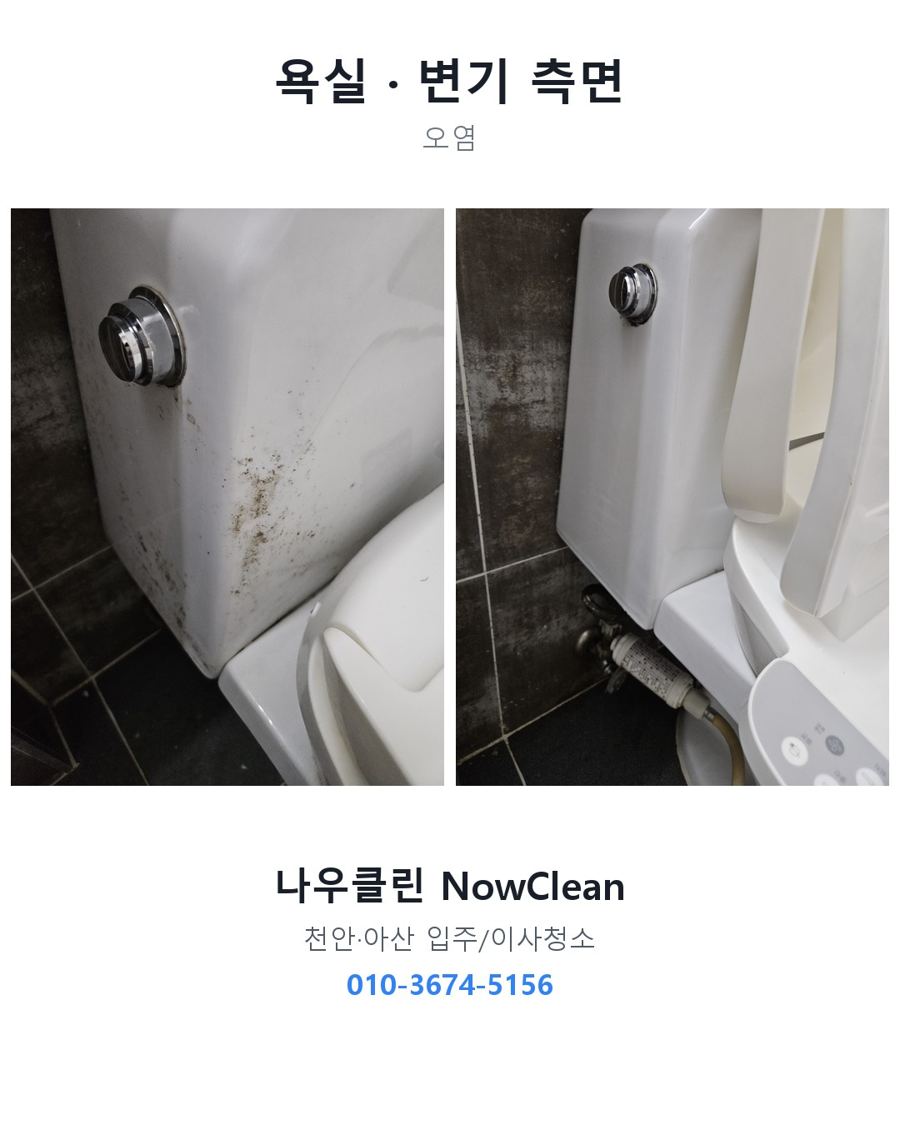 전후 사진