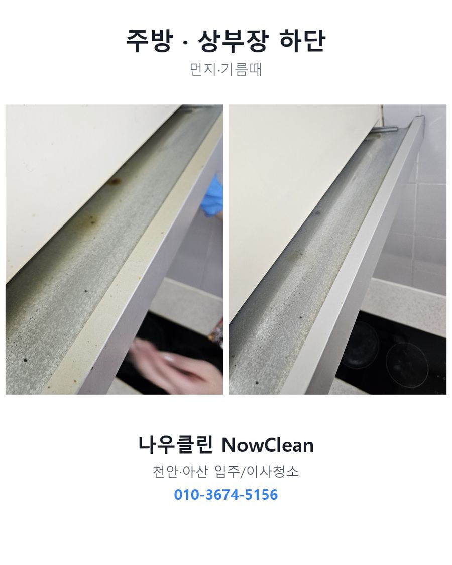 전후 사진