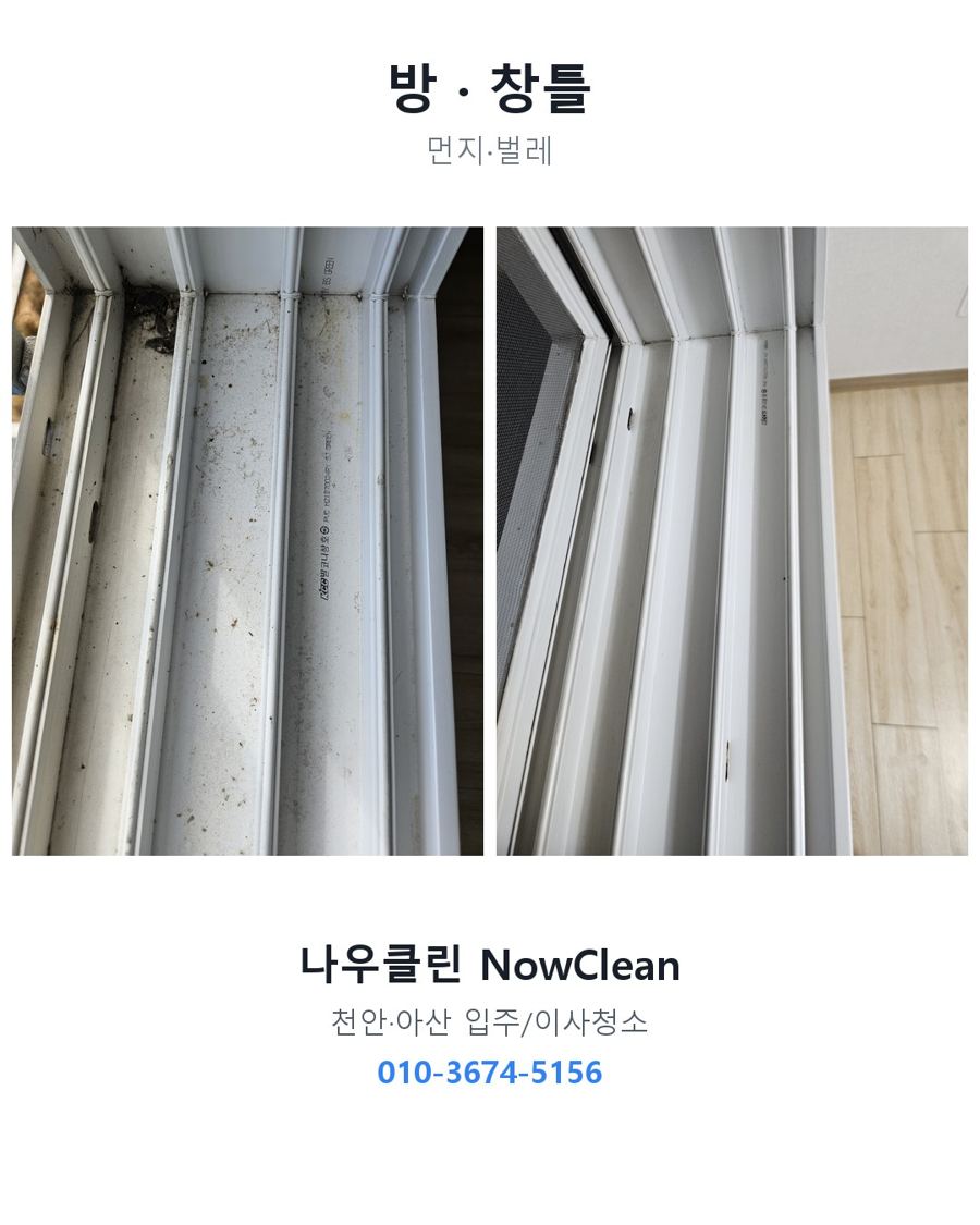 전후 사진