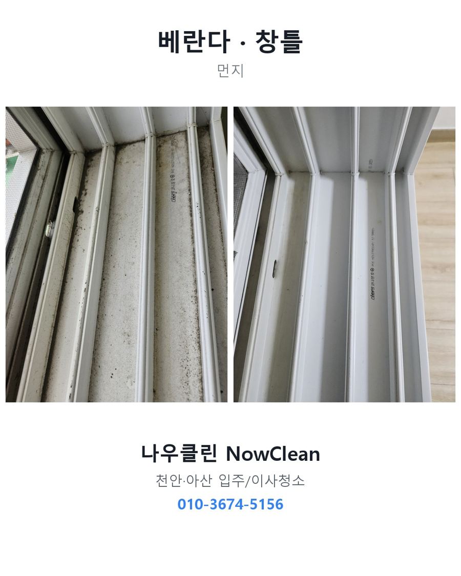 전후 사진