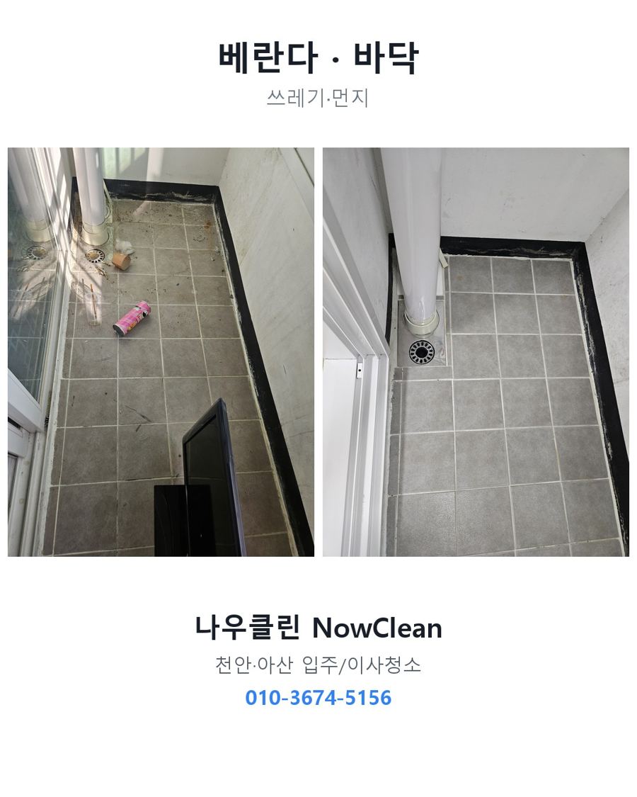 전후 사진