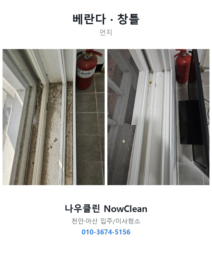 전후 사진