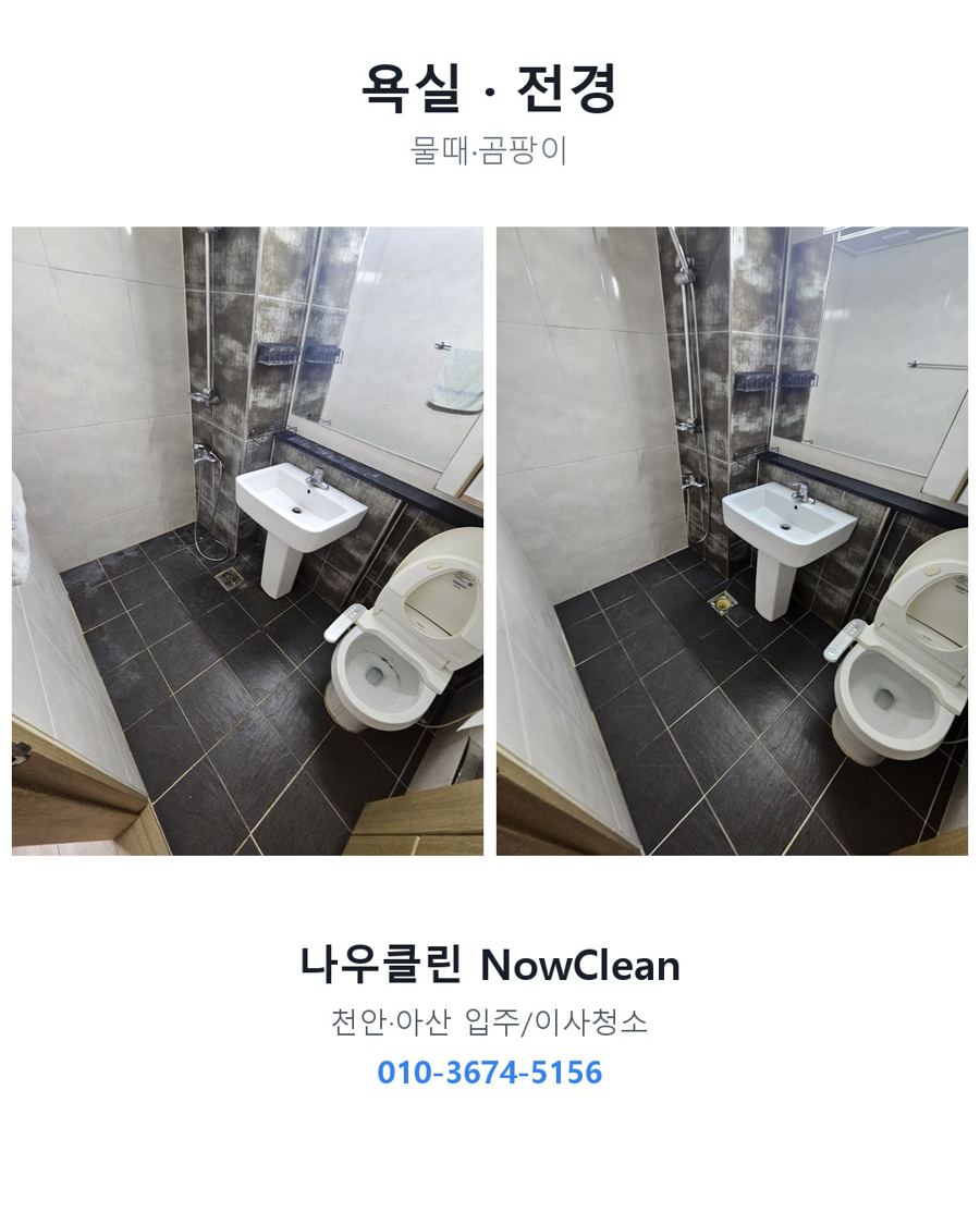 전후 사진
