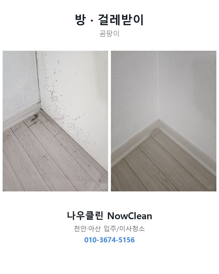 거주청소 사례