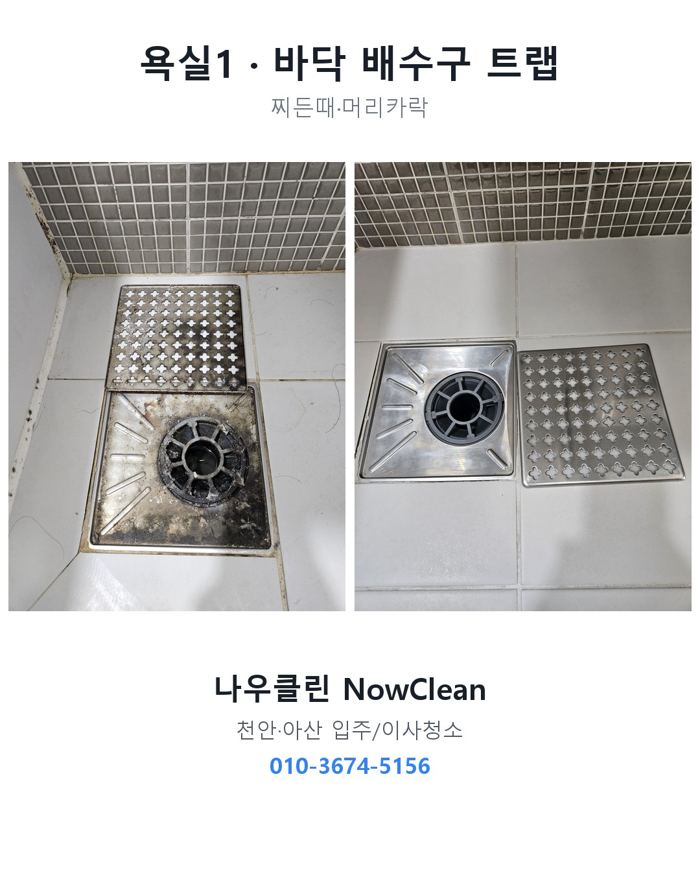 이사청소 사례