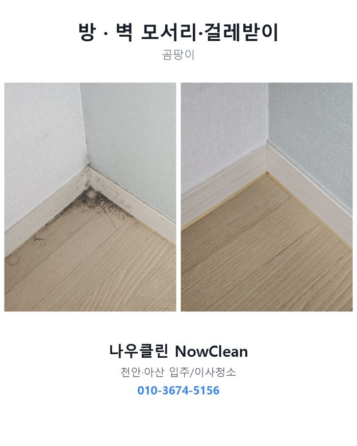 방·거실 작업 전후